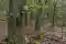 Fototrappola e sensore ambientale installati in un bosco